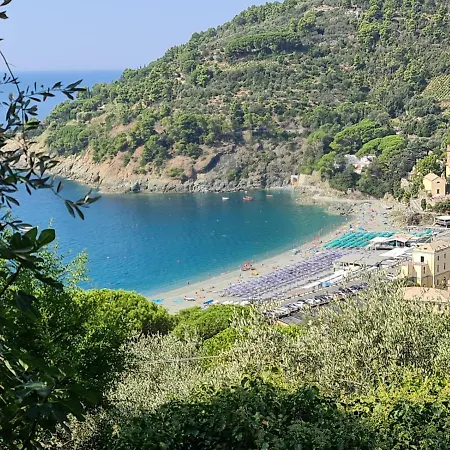 Da Luca